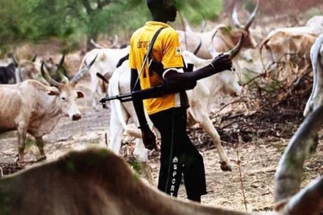 Gunmen Attack Police Base In Kwara, Kill Three by adenigga(m): 4:27am At least three police officers have been killed and two others injured after suspected terrorists attacked a Police Mobile Force (PMF) camp in Tenebo community, Kaiama Local Government Area of Kwara State. The attack, which occurred in the early hours of Saturday, caused panic in the agrarian community as residents fled their homes following heavy gunfire. Sources said the assailants arrived in large numbers and launched a surprise attack on the PMF camp, overpowering officers on duty before killing three and injuring two others. A resident, Suleiman Issa, described the moment of the attack. “This ugly killings happened at the early hours of 1am, just at midnight in Tenebo village, Kaiama. “A terrible situation happened! Bandits came in their large numbers and invaded the villagers, people were killed and some were wounded,” Issa said. The spokesperson for the Kwara State Police Command, Adetoun Ejire-Adeyemi, confirmed the incident. “I regret to confirm that an attack on the PMF Camp occurred in the early hours of today. I will provide more accurate and detailed information shortly. Thank you,” he said. The latest attack highlights continued insecurity in parts of Kaiama Local Government Area, where armed groups have repeatedly targeted communities and security formations. On April 20, suspected terrorists reportedly overran a joint security outpost in Kemanji community, killing at least three soldiers and two vigilantes and carting away an army gun truck and other equipment. On April 10, five members of a local forest guard unit were killed in Nuku community, with attackers also burning operational vehicles and facilities. The violence follows an earlier February 2026 incident in Woro and Nuku communities, where over 200 people were reportedly killed and about 176 abducted, including women and children.