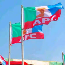 APC Direct Primaries: Ekarika, Majori Emerge Victorious in Calabar South