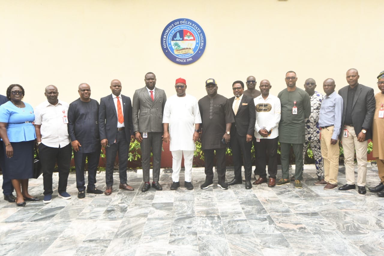 Restore Electricity in Kwale, Isoko, Other Communities,  Onyeme Charges BEDC