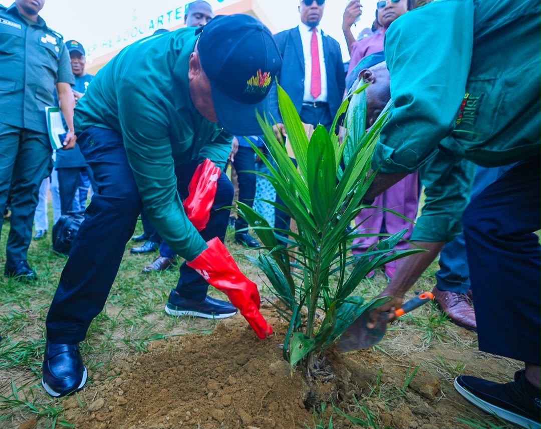 Gov. Eno’s Tree Crop Revolution Initiative: Advancing Food Availability, Agricultural Objectives of the ARISE Agenda